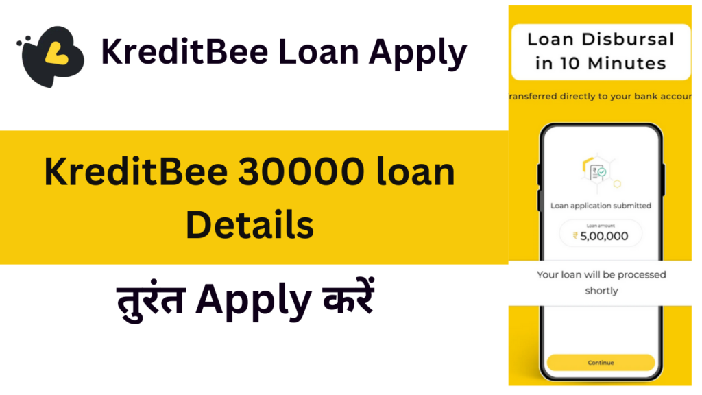 KreditBee 30000 Loan Details