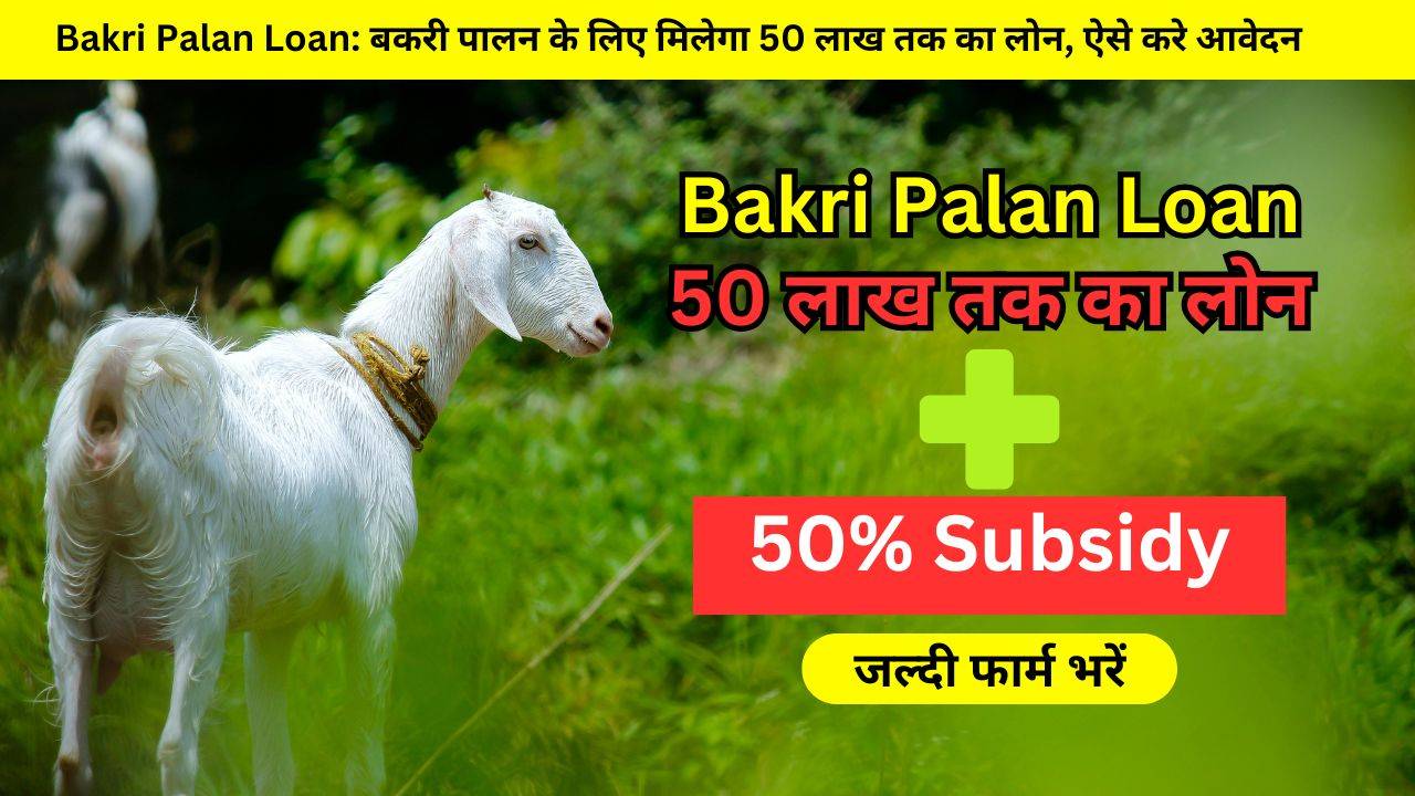 Bakri Palan Loan Yojana